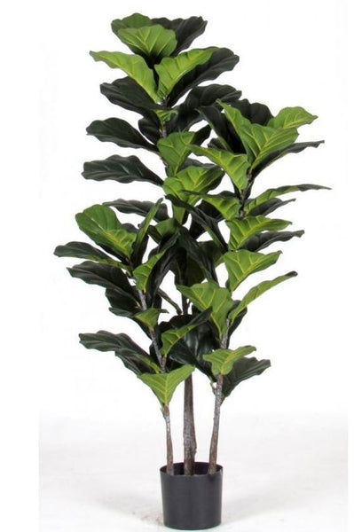 Ficus Pandorato - Pianta artificiale – ELGREN