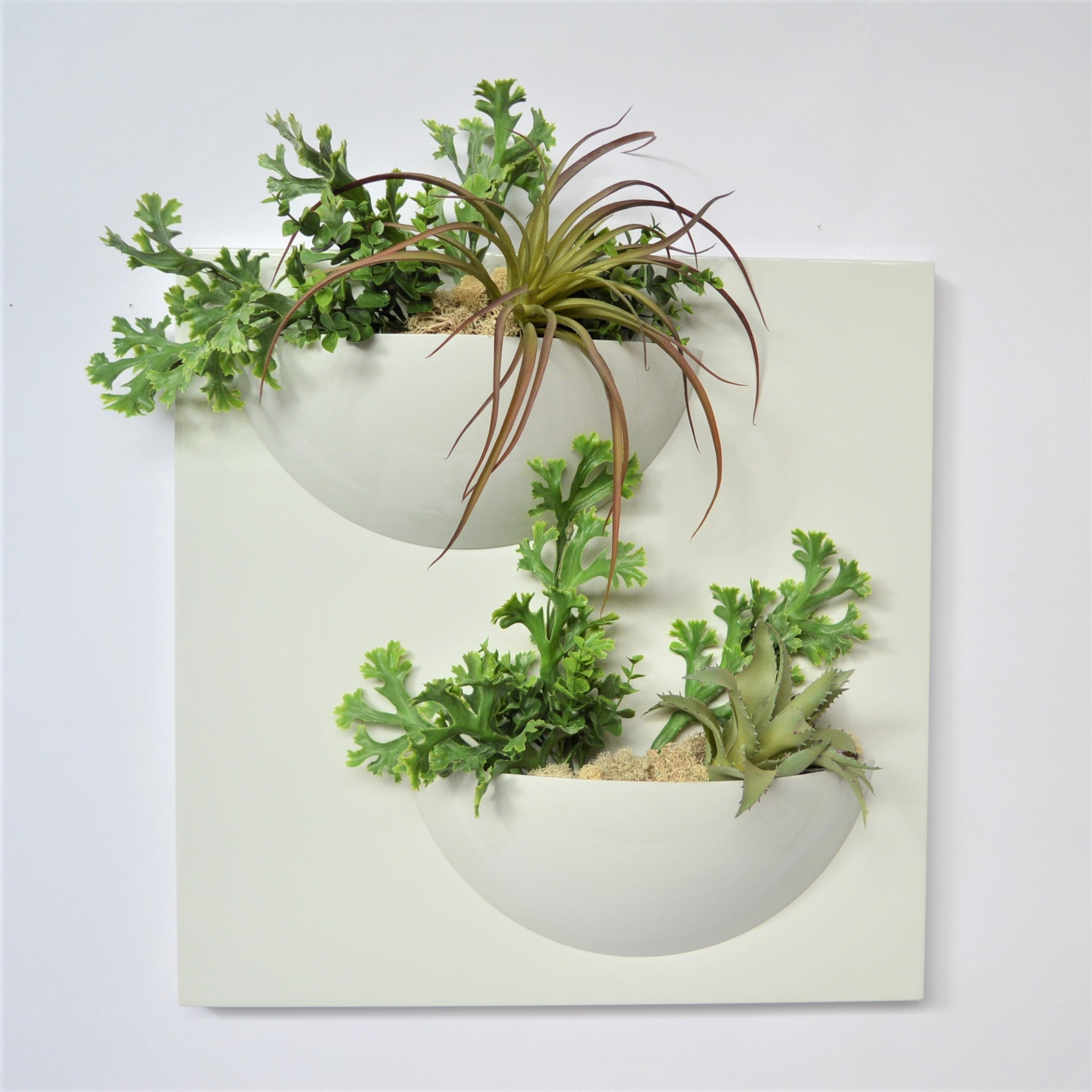 Pannello decorativo con piante - Vaso a parete in resina – ELGREN